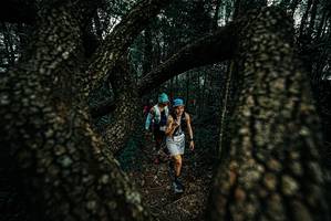 BIB: 
                            <button type="button" onclick="openModal(25691162)" class="btn btn-primary btn-sm float-right btn-popup" data-toggle="modal" data-target=".modal-high-quality">
                        <i class="fas fa-shopping-cart"></i> Add to Cart
                    </button>
                                            <button type="button" onclick="isThisMe(25691162, true)" class="btn btn-success btn-sm float-right btn-popup btn-isme hidden" data-toggle="tooltip" data-placement="bottom" title="นี่คือรูปของคุณใช่ไหม คลิกที่นี่เพื่อเอาเข้าอัลบั้ม">
                        <i class="fas fa-plus"></i> Add to album
                    </button>
                    <button type="button" onclick="isThisMe(25691162, false)" class="btn btn-warning btn-sm float-right btn-popup btn-isnotme hidden">
                        <i class="fas fa-ban"></i> Remove from album
                    </button>